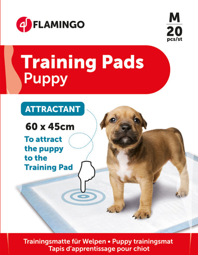 Empapadores educativos con atrayente T2 para perros