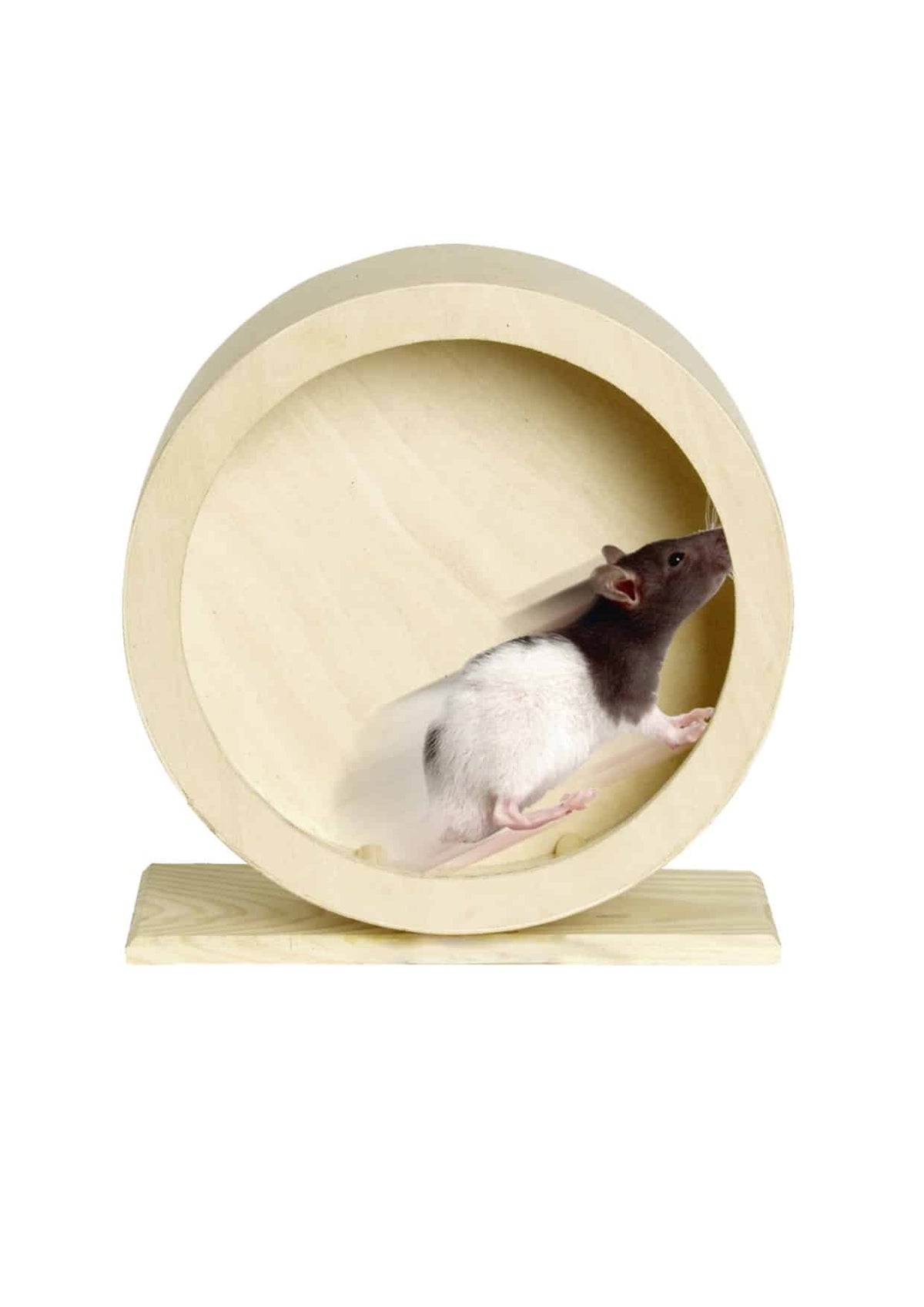 Juguete danco rueda madera 29 cm diámetro para roedores - imagen 2
