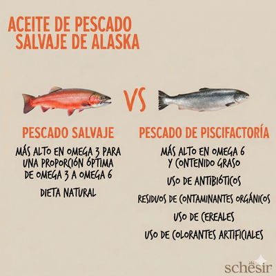 SCHESIR ACEITE SALMÓN DE ALASKA GRIZZLY
