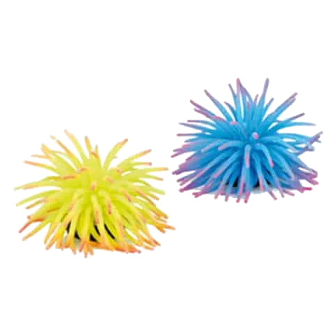 Anémona 2u para acuario