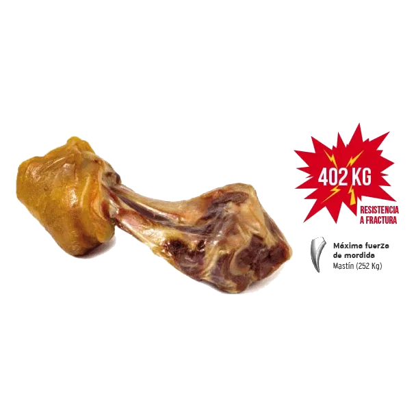 Codillo de jamón serrano Mediterranean 550 g para perros