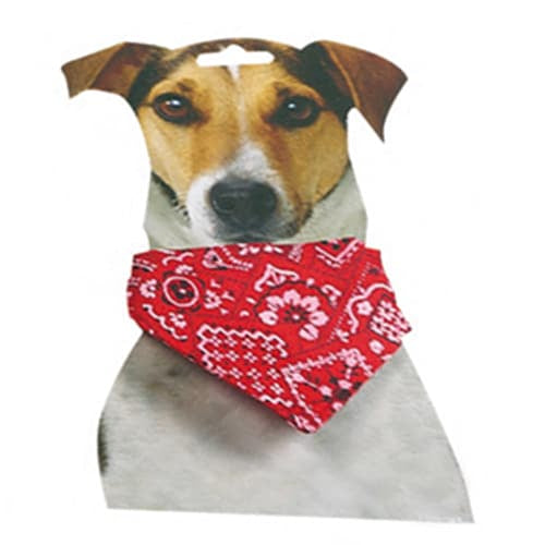 Collar + bandana Rojo T.1 22-35cm