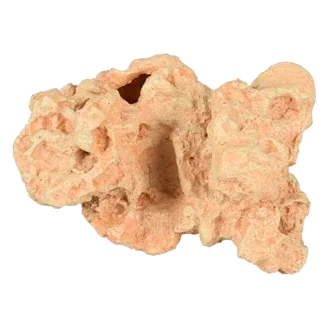 Coral Sahara para acuario