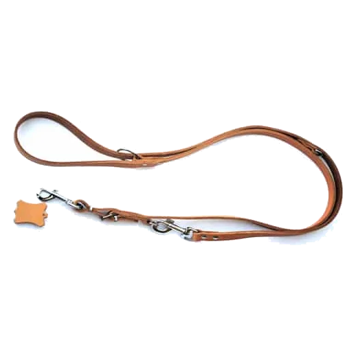 Correa de policía de piel remachada 17 mm para perros