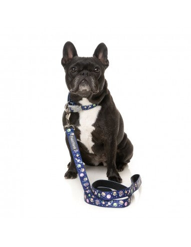 Collar para perros de neopreno FuzzYard Pluto Pup (talla S)