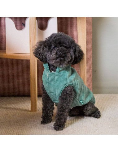 Chaqueta de pana para perros FuzzYard Life Myrtle Green