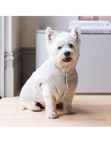 Chaqueta de pana para perros FuzzYard Life Sandstone