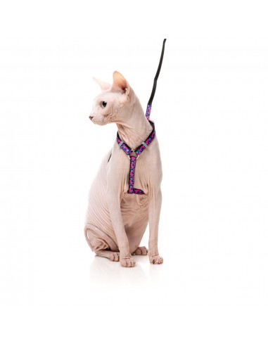 Arnés para gatos con correa FuzzYard Wild One Bubblegum