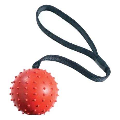 Pelota con cuerda Classic Pimple Ball & Rope para perros, 70 mm