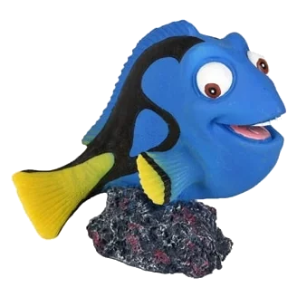Pez Cirujano