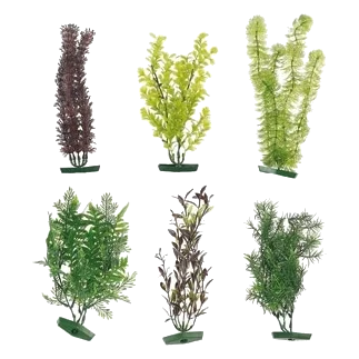 Planta acuario surtido grande 30 cm