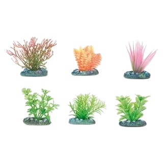 Planta acuario surtido pequeño 5 cm surtido 6 uds