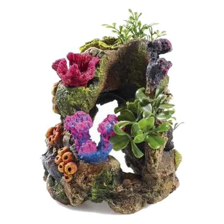 Rocas y plantas para acuario