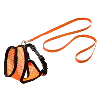 Set arnés gatito nar/negro 110cm 10mm T,S