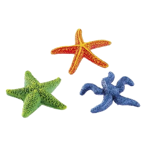 Surtido de estrellas de mar para acuario