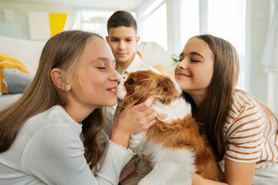 Niños junto a un perro en casa