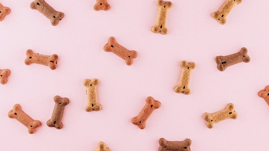 Galletas para perro con forma de hueso