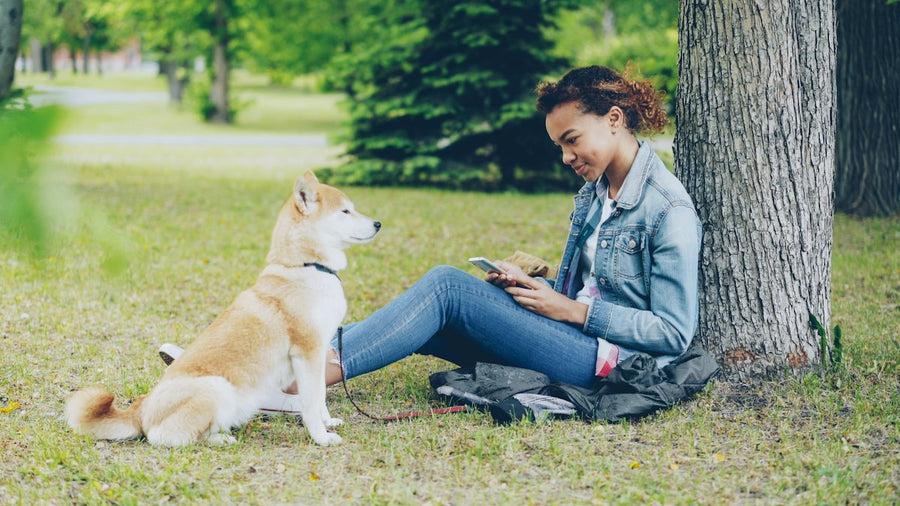 Mujer leyendo con su perro en el parque