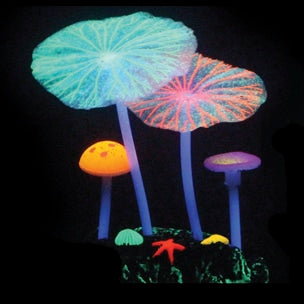 Aqua Lumo Multicolor champiñon para acuario