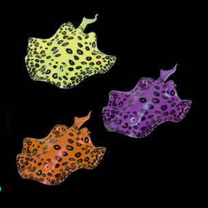 Aqua Lumo Stingray para acuario