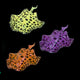 Aqua Lumo Stingray para acuario