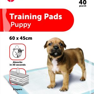Empapadores educativos T2 100uds