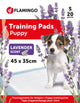 Empapadores educativos para perros T1 con aroma a lavanda