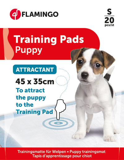 Empapadores educativos con atrayente T1 para perros