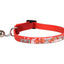 Collar para gatitos nanou 15/22cm 10mm surtido - imagen 2