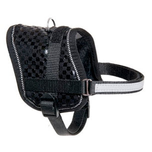 Arnés Teeny Negro 26-35cm