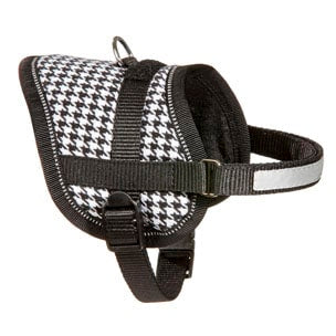 Arnés Teeny blanco negro 26-35 cm