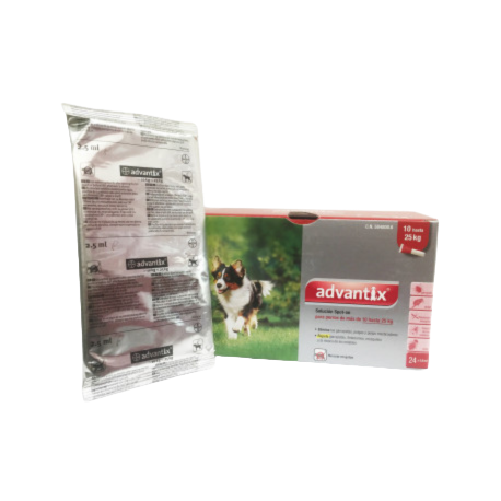 Advantix 10–25 kg (4 pipetas blister)