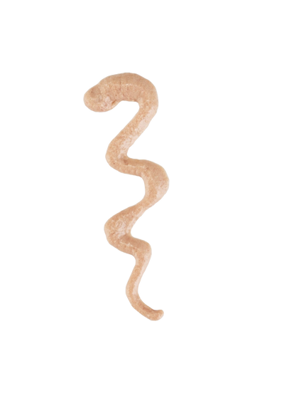 Schesir Snack Stix Pato 6x15g