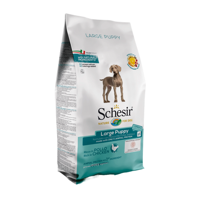 Schesir Large Puppy Pollo 12kg