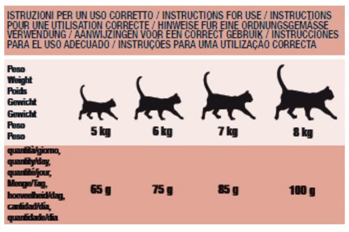 Schesir pienso animal protein hairball 400 gr para gatos - imagen 2