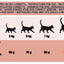 Schesir pienso animal protein sensitive cordero 1,5 kg para gatos - imagen 2