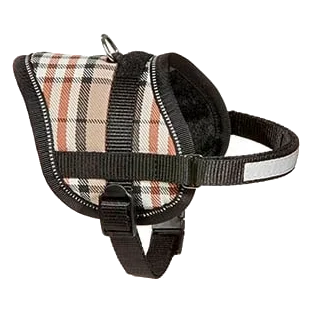 Arnés Teeny para perros pequeños — 5 colores y 3 tallas