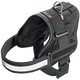 ArnéS Xtreme Teflon negro para perros