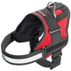 ArnéS Xtreme Teflon rojo para perros