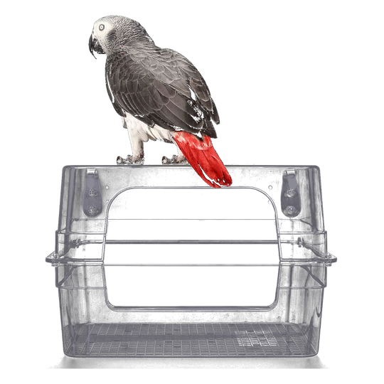 Bañera para pájaros grande transparente para jaula con loro posado