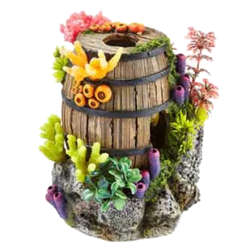 Barril con plantas y coral para acuario