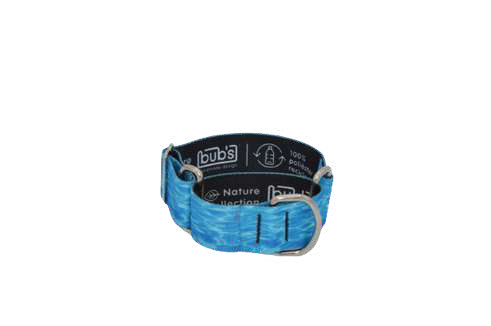 COLLAR BUBS 40 MM MARTINGALE AQUA TALLA S — imagen original