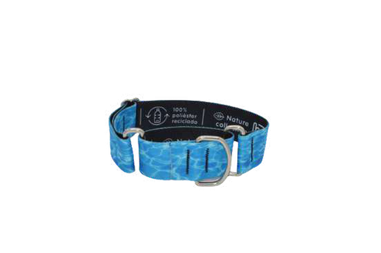 COLLAR BUBS 40 MM MARTINGALE AQUA TALLA M — imagen original