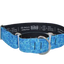 COLLAR BUBS 50 MM MARTINGALE AQUA TALLA XL — imagen original