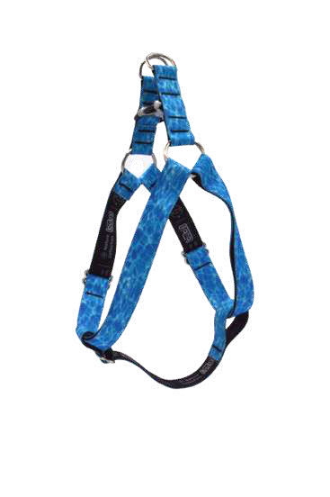 ARNES 25 mm TALLA L BUBS NATURE COLLECTION AQUA — imagen original