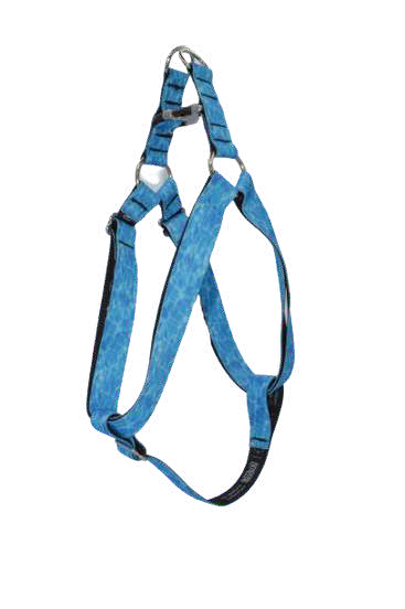ARNES 25 mm TALLA XL BUBS NATURE COLLECTION AQUA — imagen original