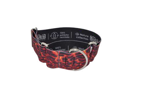 COLLAR BUBS 50 MM MARTINGALE LAVA TALLA L — imagen original