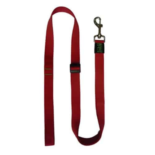 Correa extensible T2