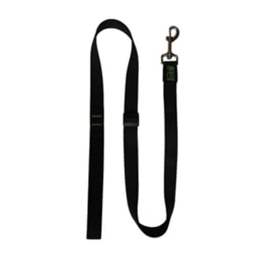 Correa Extensible T2