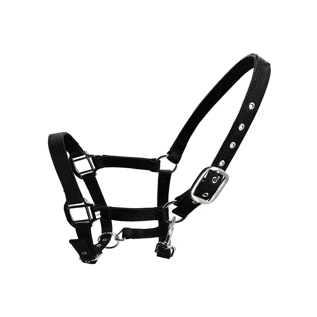 Cabezada acolchada para poni y caballo, tallas XS a XL - vista 10